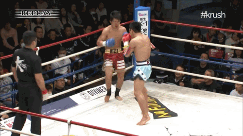 4.gif