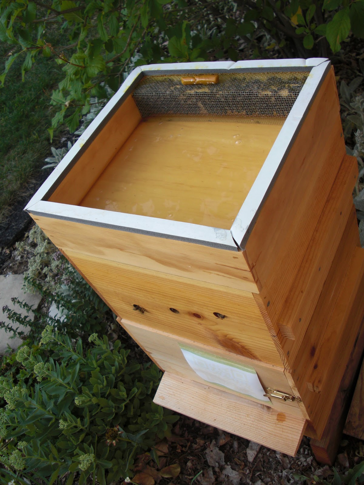 Backyard Bee Hive Blog How to use a Hive Top Feeder Part II