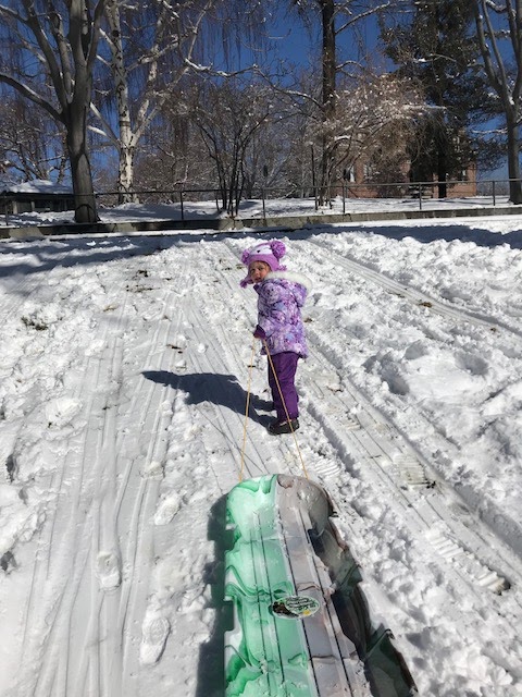 toddler sledding
