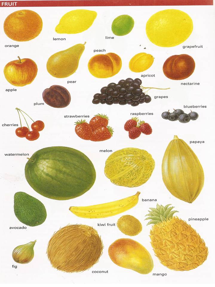 englishclass18 FRUITS, VEGETABLES AND COOKING VERBS... 3RD GRADES.