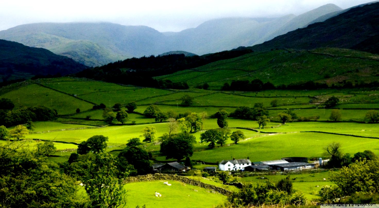 Mountain Spring Landscape HD desktop wallpaper  Widescreen  High