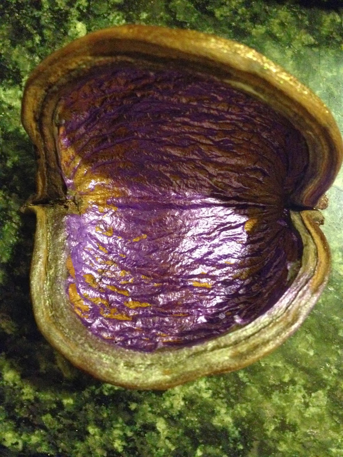 Monsoon Rains Seed, Seed pods and Paint A simple Craft DIY