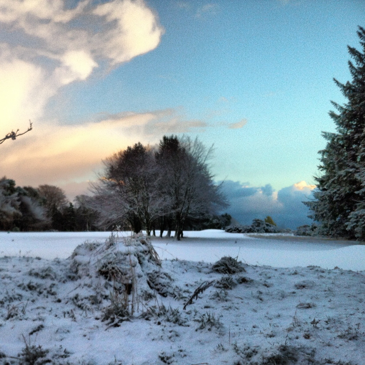 The Aberdeen Wife Snow Day