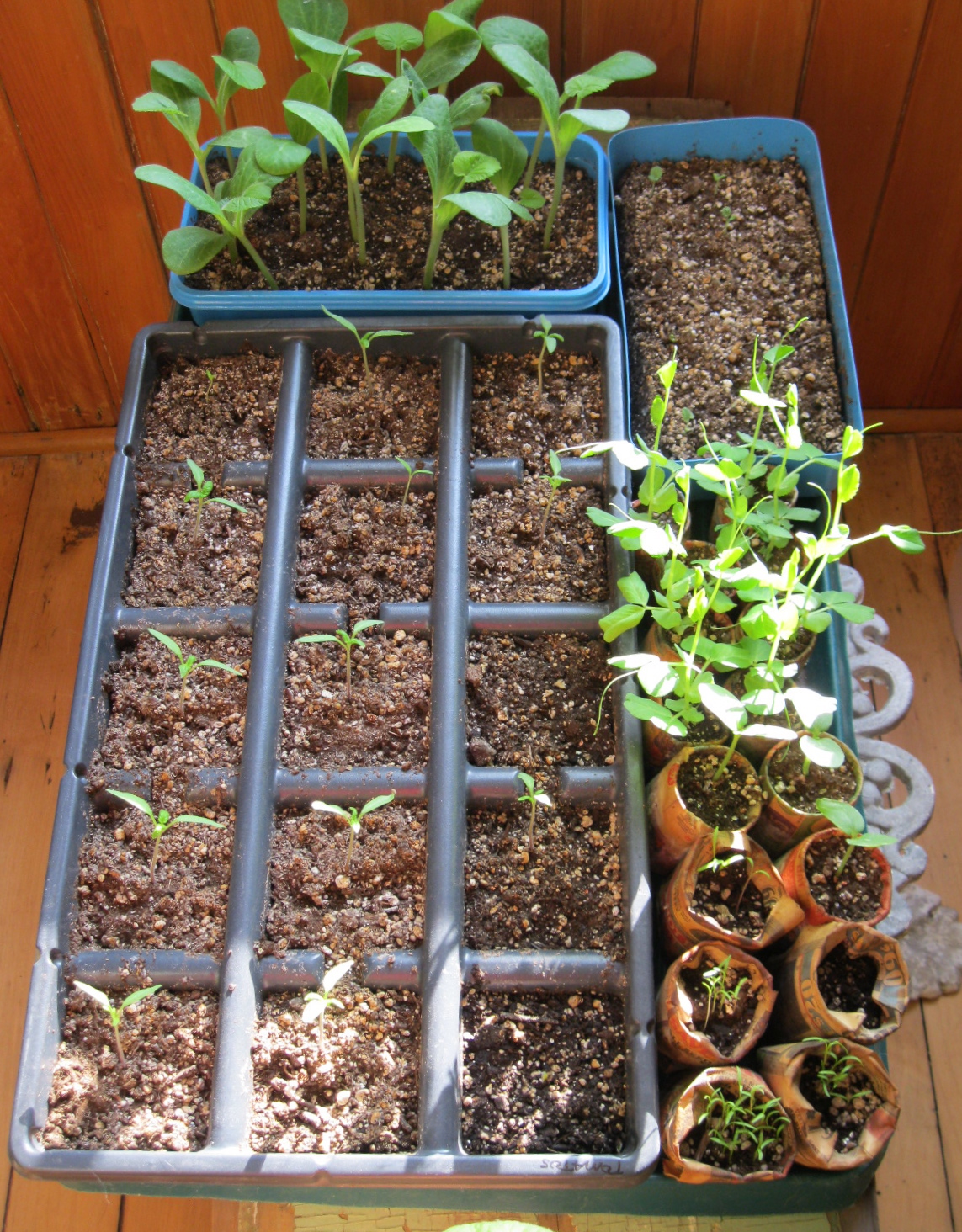 The Dusty Victorian: Planning my Vegetable Garden