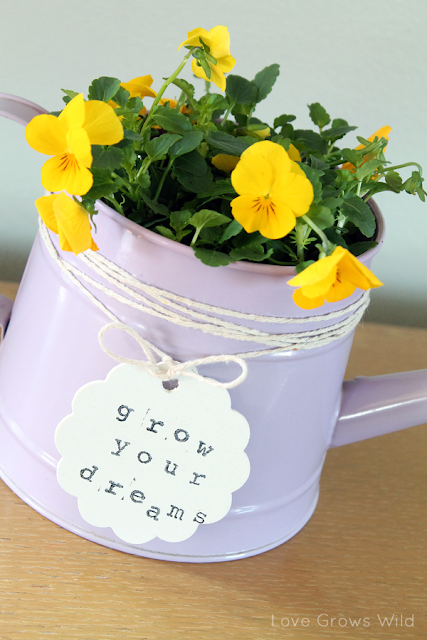 Watering Can Planter by Love Grows Wild for Occasionally Crafty #spring #diy #flowers #grow