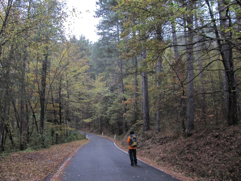 Escursionismo a 360° Da Grezzano al Passo del Giogo (E)