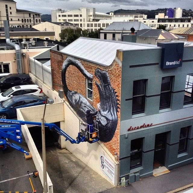 Work in progress by Belgian artist ROA on Bath St in Dunedin New Zealand. 1