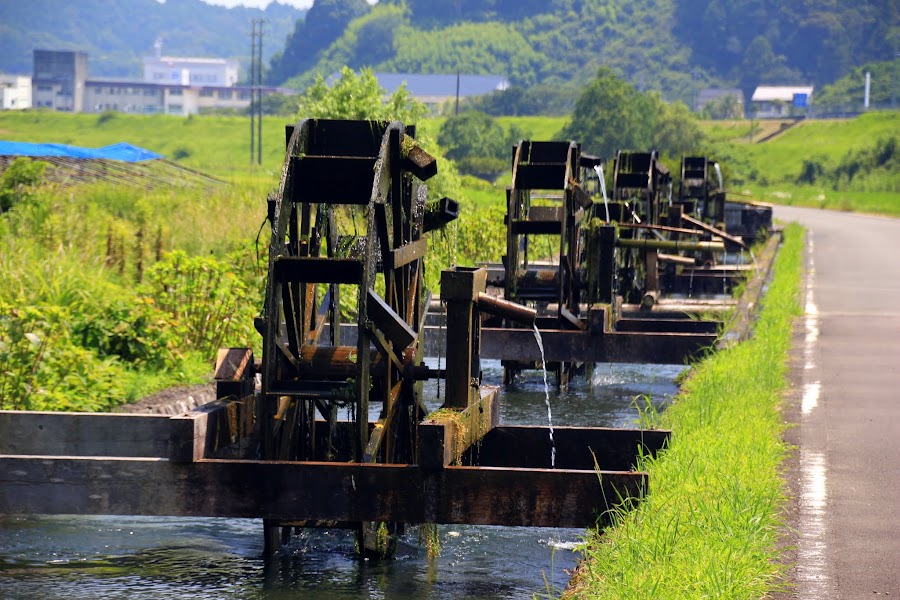 四國山陽跳島遊 安並水車の里 深入「遲開的向日葵」的劇情中 阿舍的精彩生活
