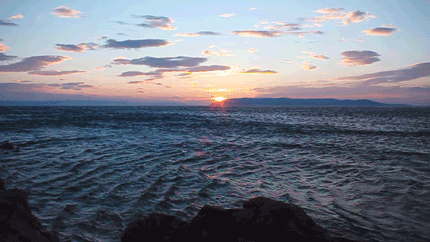 Antonio F Marín: 2016