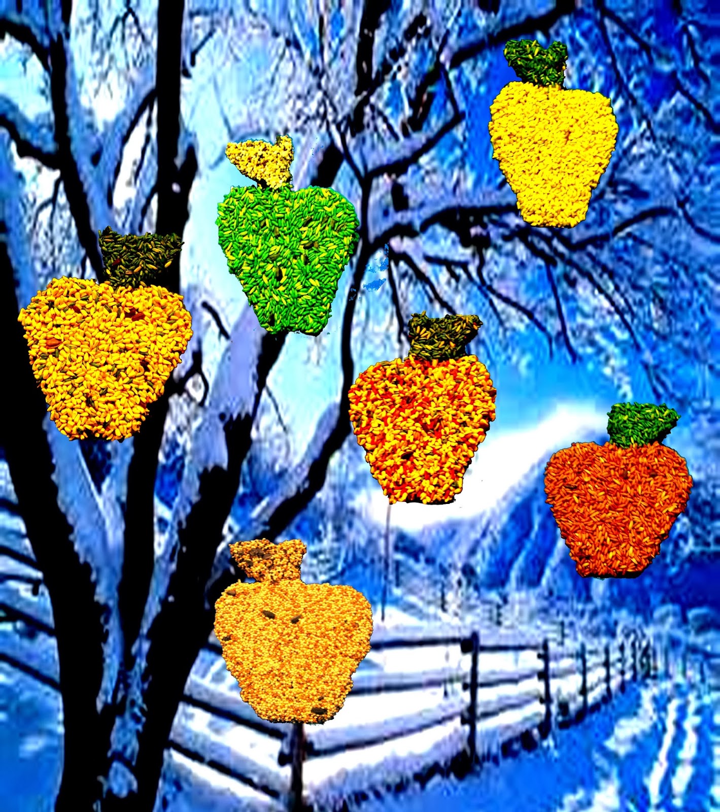 Edible Bird Seed Ornaments for Indoor and Outdoor