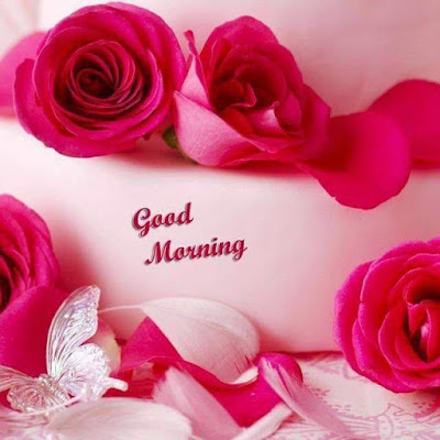 good morning wishes whatsapp messages