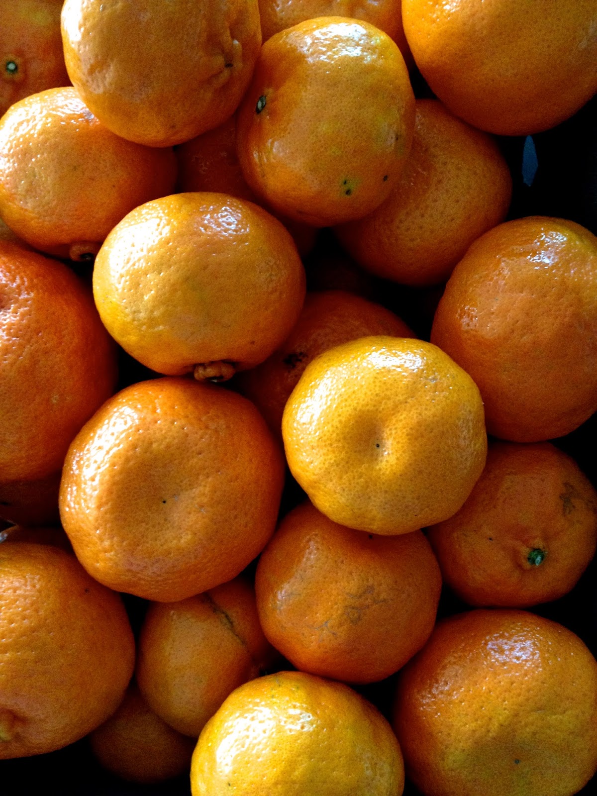 WEST END COTTAGE When Life Gives you Mandarins