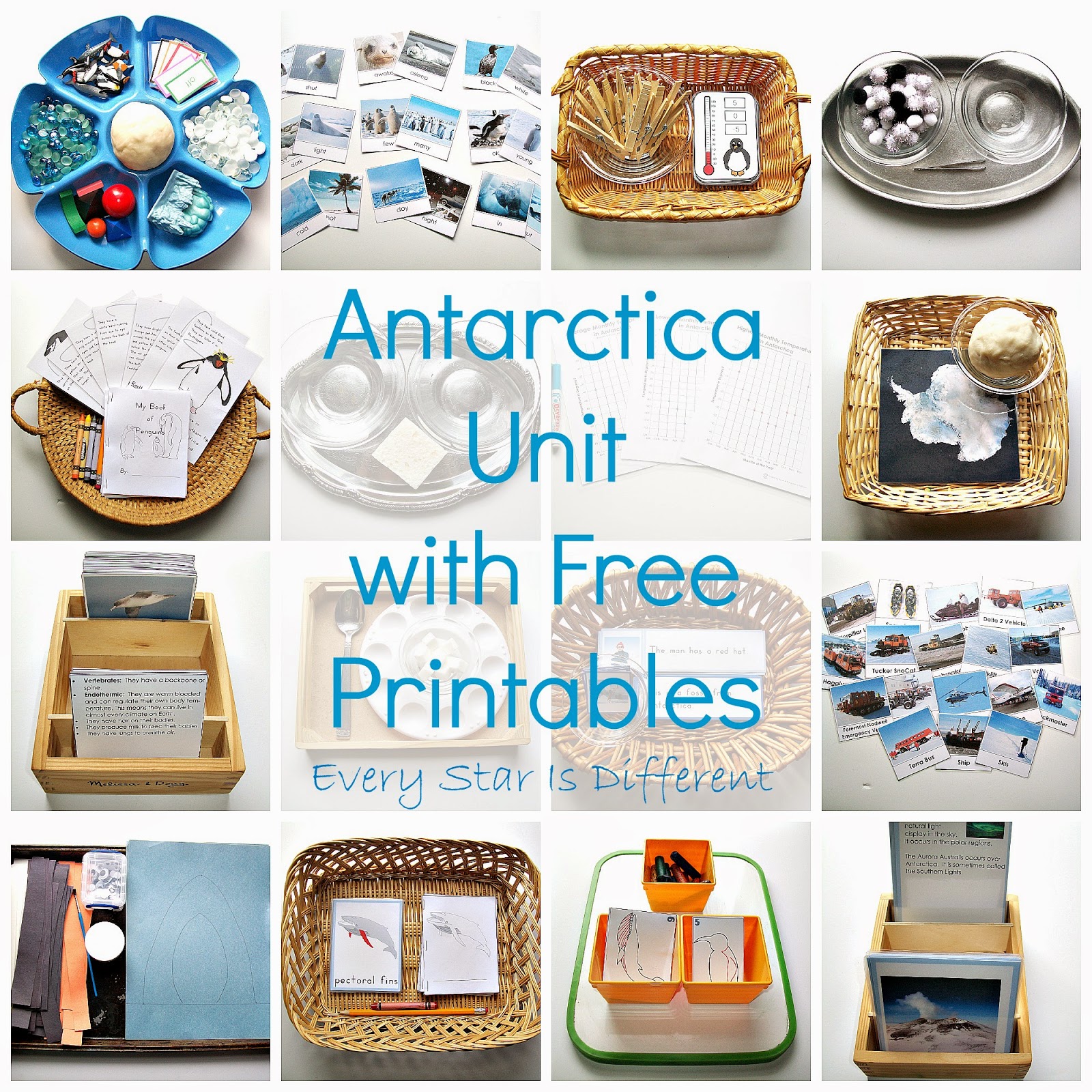 antarctica-unit-w-free-printables-every-star-is-different