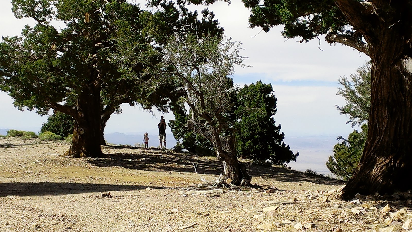 Review Hikes and Books Onyx Peak near Big Bear Lake