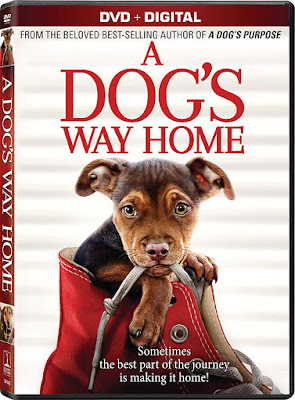 A Dogs Way Home Dvd