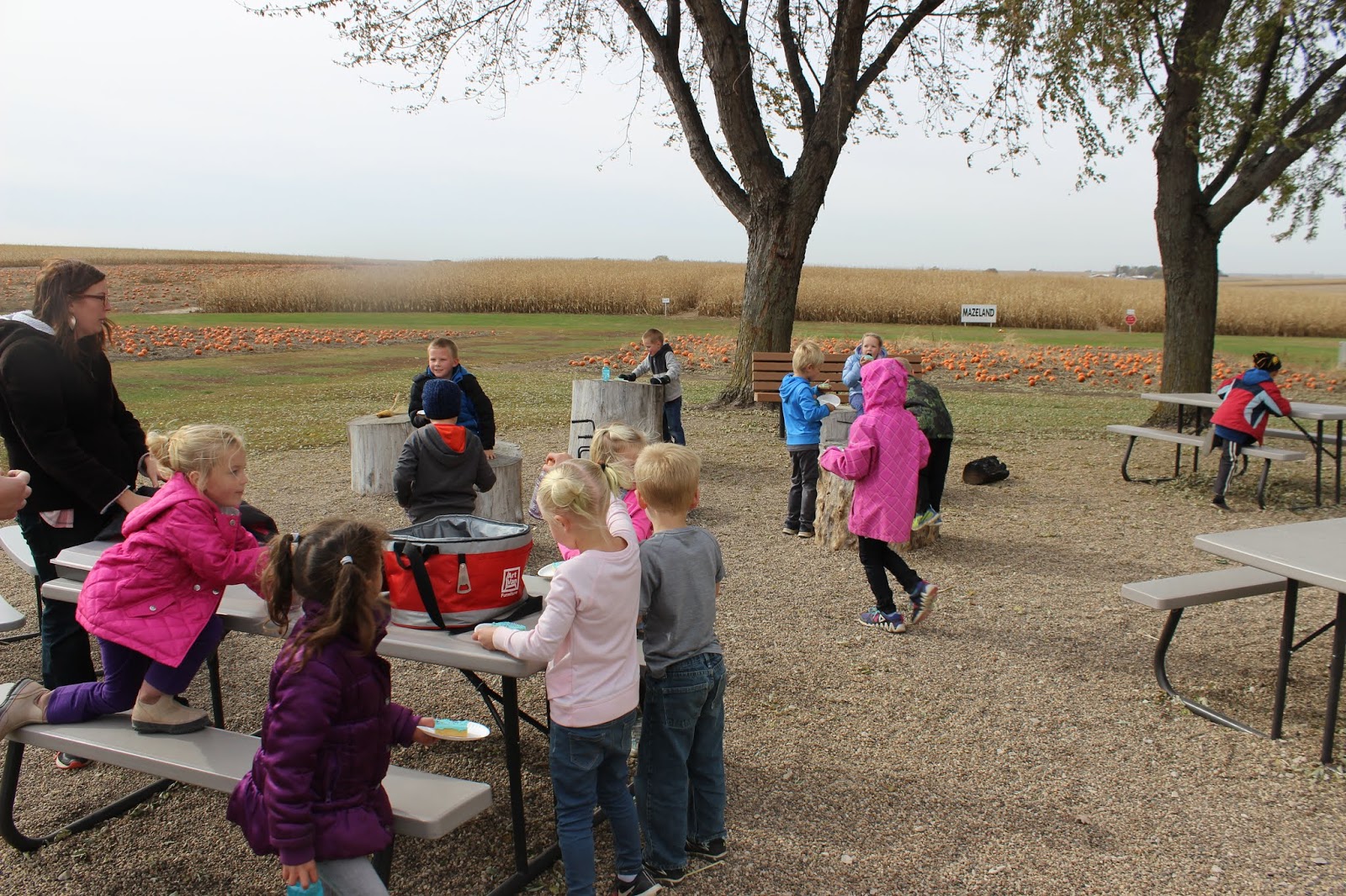 Kinder in the Cornfields