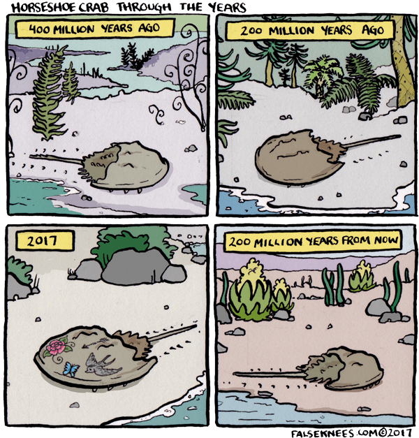 Koprolitos Horseshoe Crab Through The Years (False Knees)