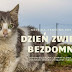 DZIEŃ ZWIERZĄT BEZDOMNYCH 2019