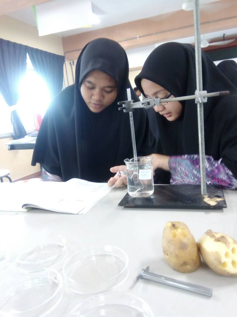 Anna Seonsaengnim Eksperimen bab 3 Bio T4..osmometer & potato strips