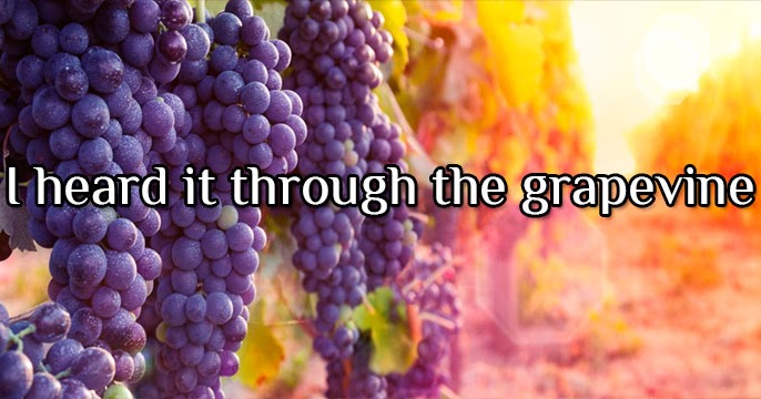 I heard it on the grapevine. Hear through the grapevine. i heard it through the grapevine. i heard it through the grapevine перевод. to hear it on the grapevine.