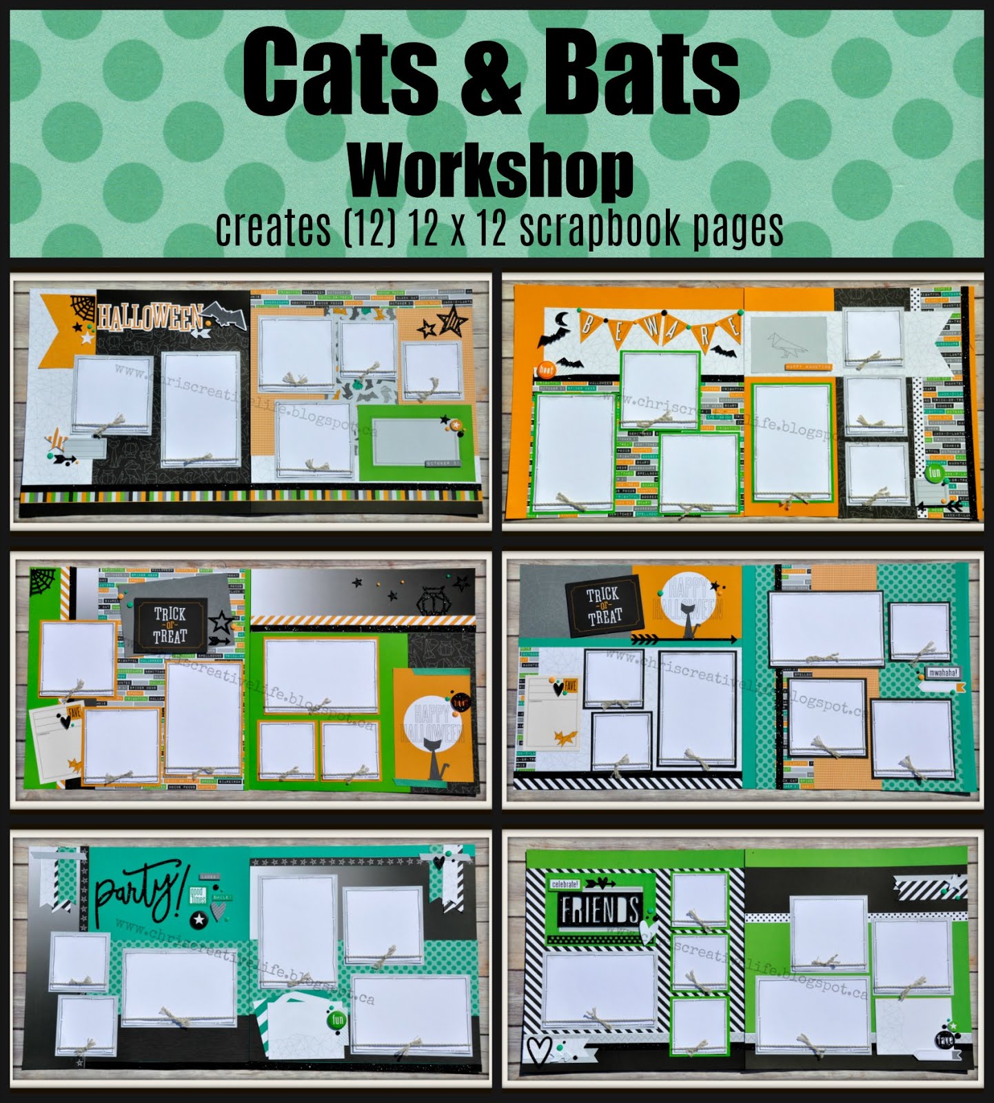 Cats and Bats Workshop