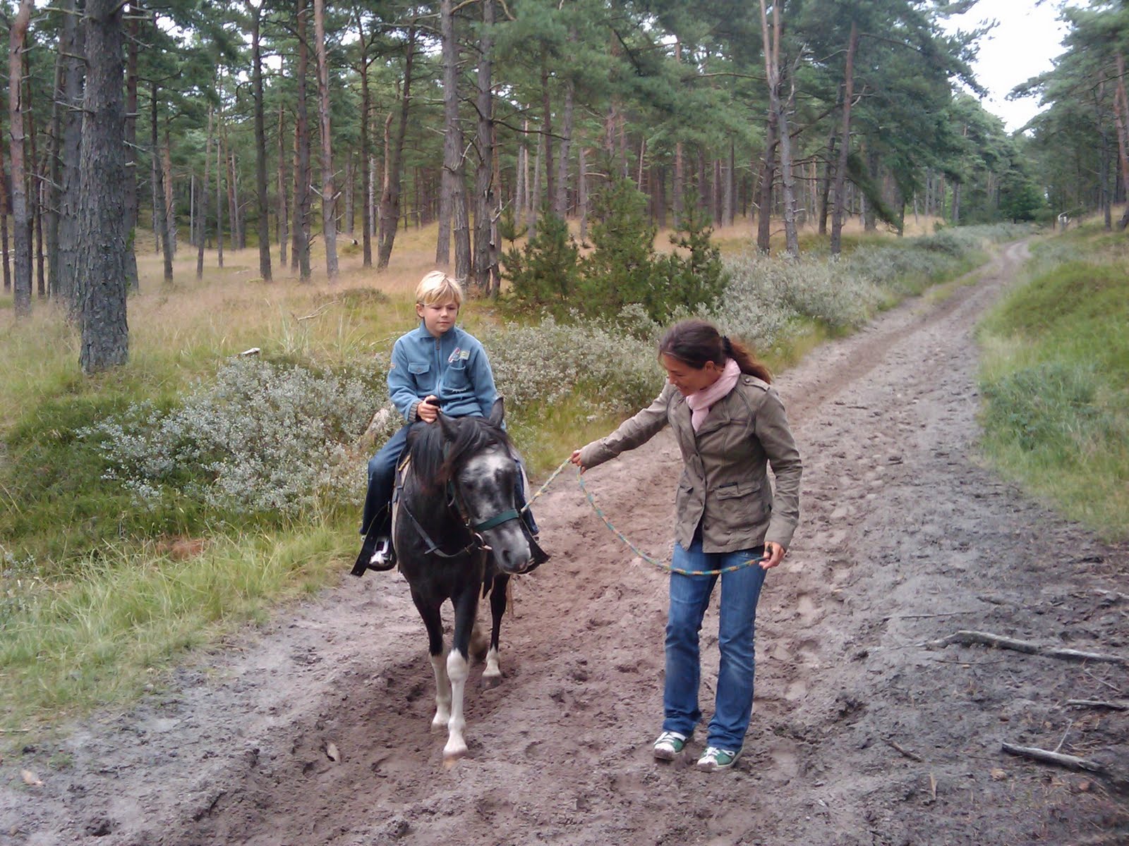 Hundeschule an der Leine Spaziergang mit Hund was man so alles