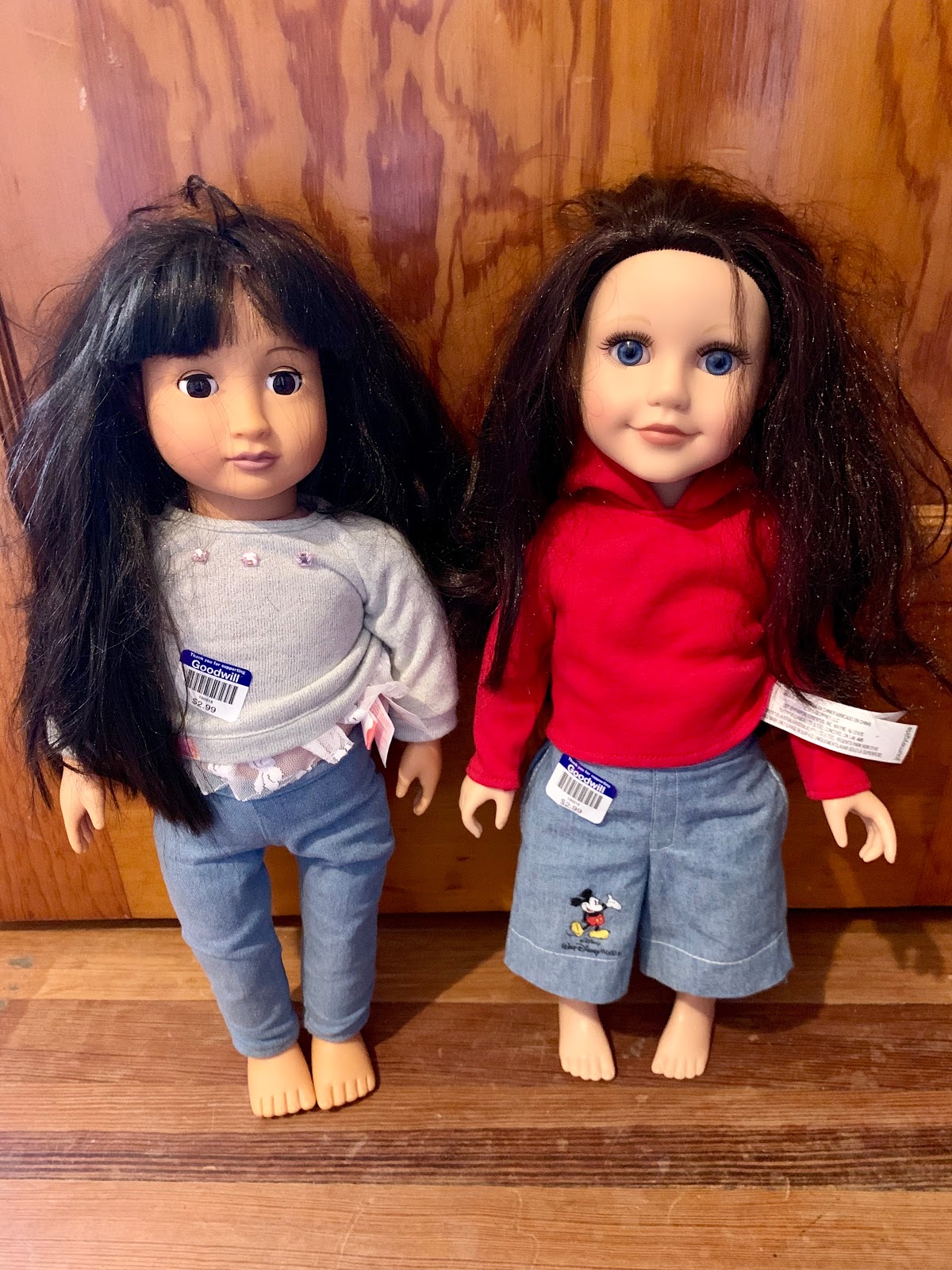 PennilessCaucasianRubbish American Doll Adventures Our Generation and