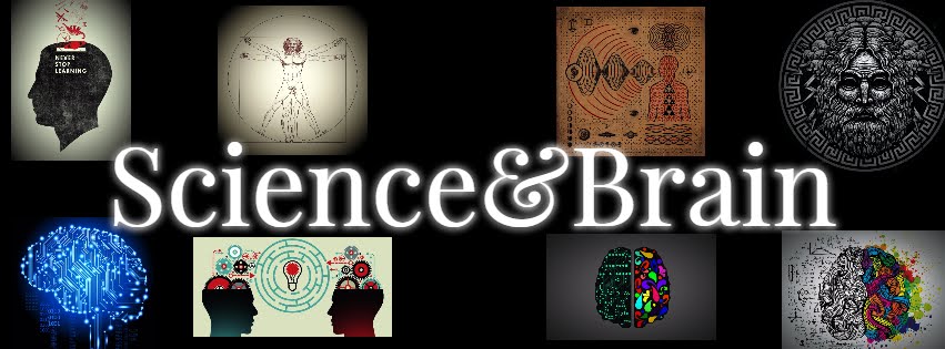 Science&amp;Brain