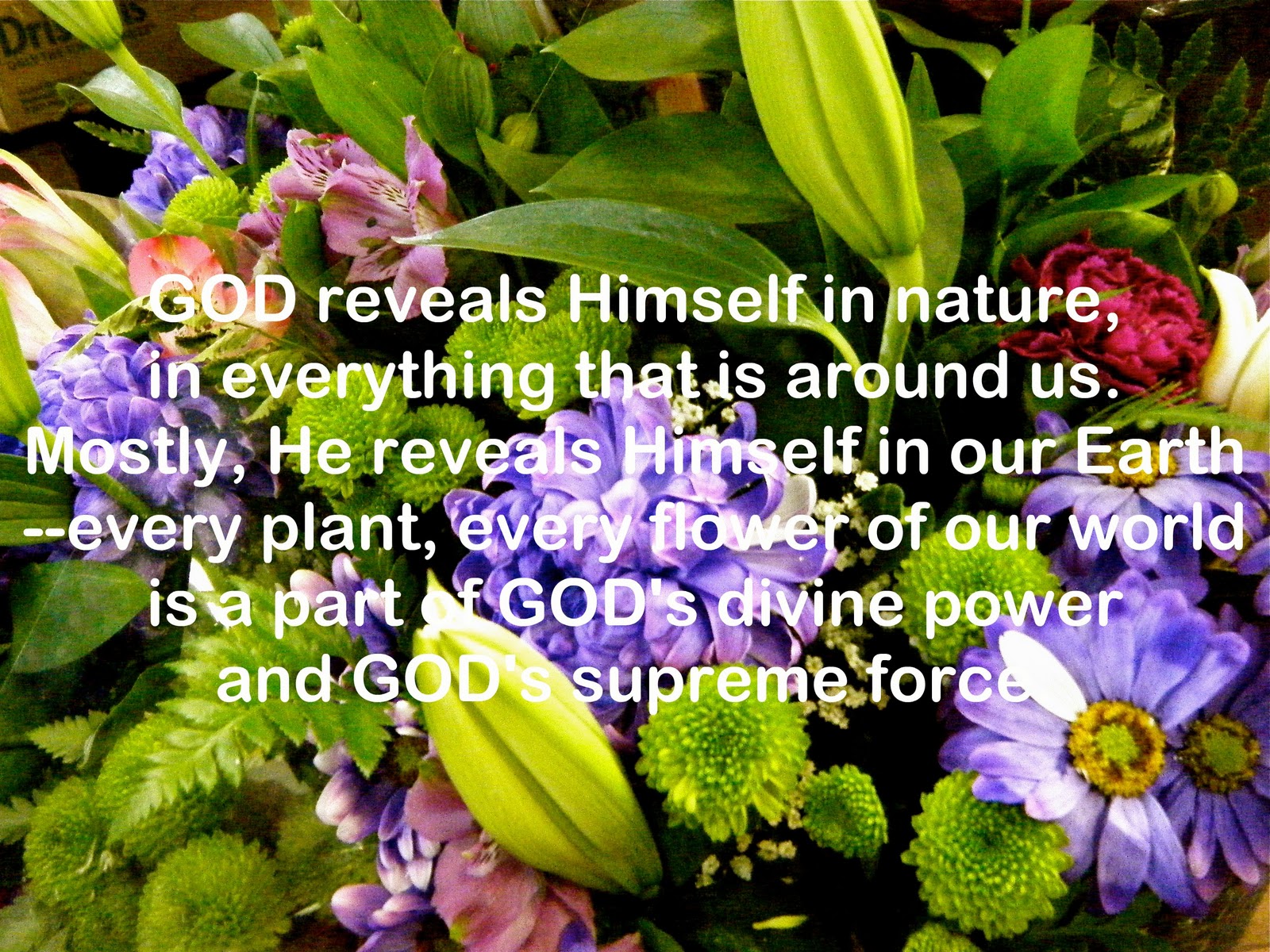Flowery Blessing GOD reveals Himself in nature, in everything that is