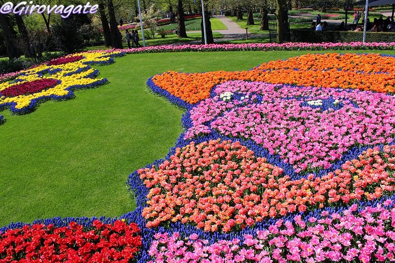 parco fiori keukenhof olanda