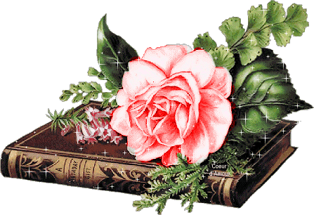 rosa%2Bem%2Bcima%2Bde%2Bum%2Blivro%20Gos