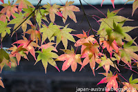 Autumn in Japan Autumn in Japan