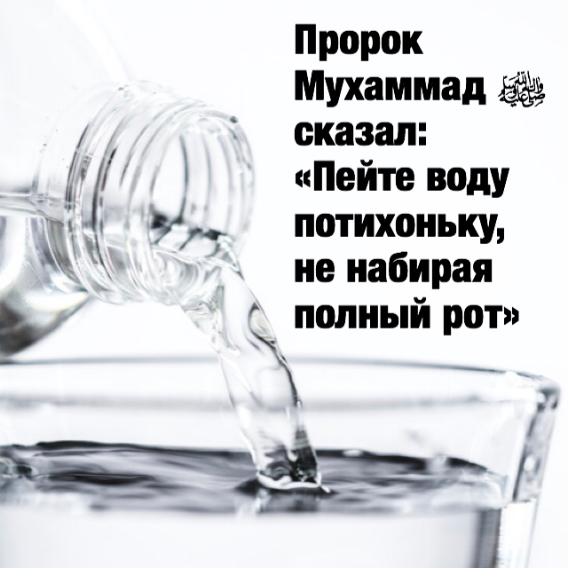 Крещенская вода когда набирать дома. Пейте святую воду лука крымский. Мозаика святитель лука войно-ясенецкий. Цитаты о святой воде. Зашкваршн.