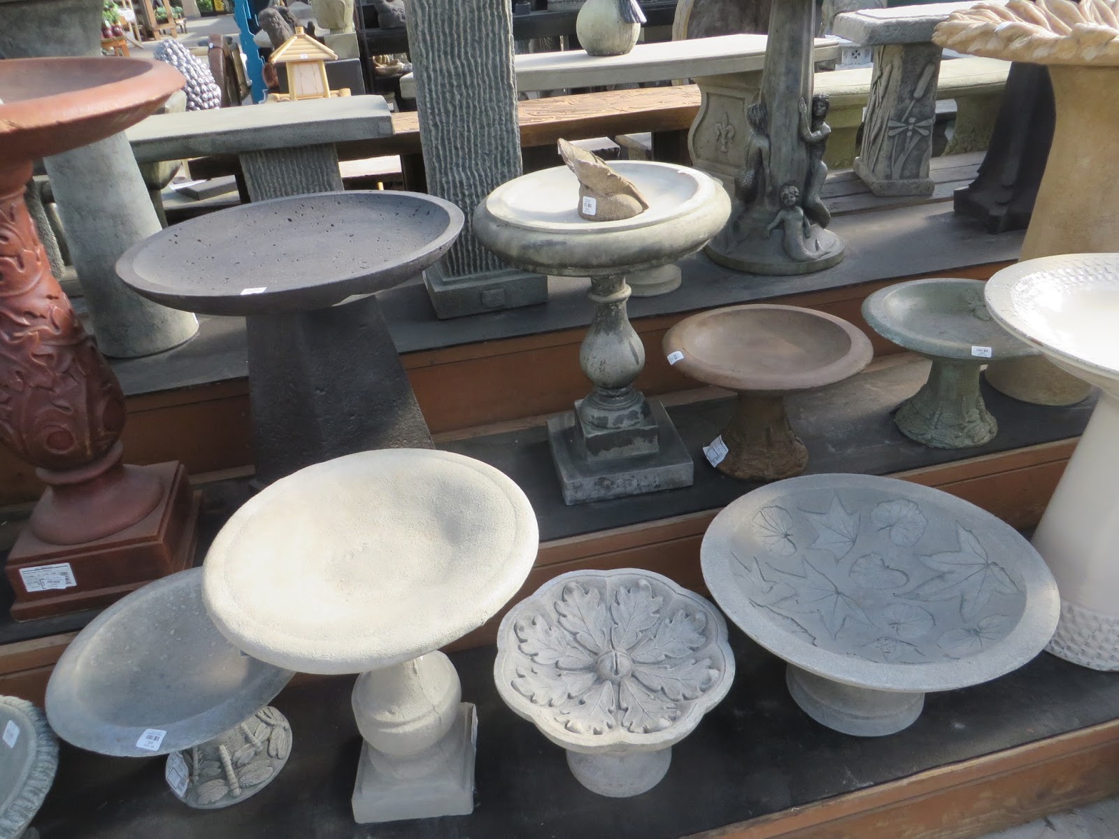 Nursery Visit Sky Nursery Seattle