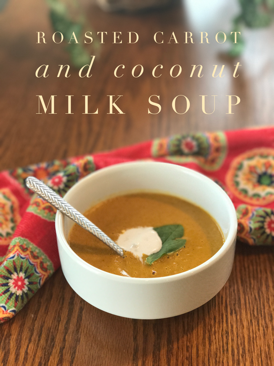 Our Good Life Roasted Carrot and Coconut Milk Soup SoupSwappers