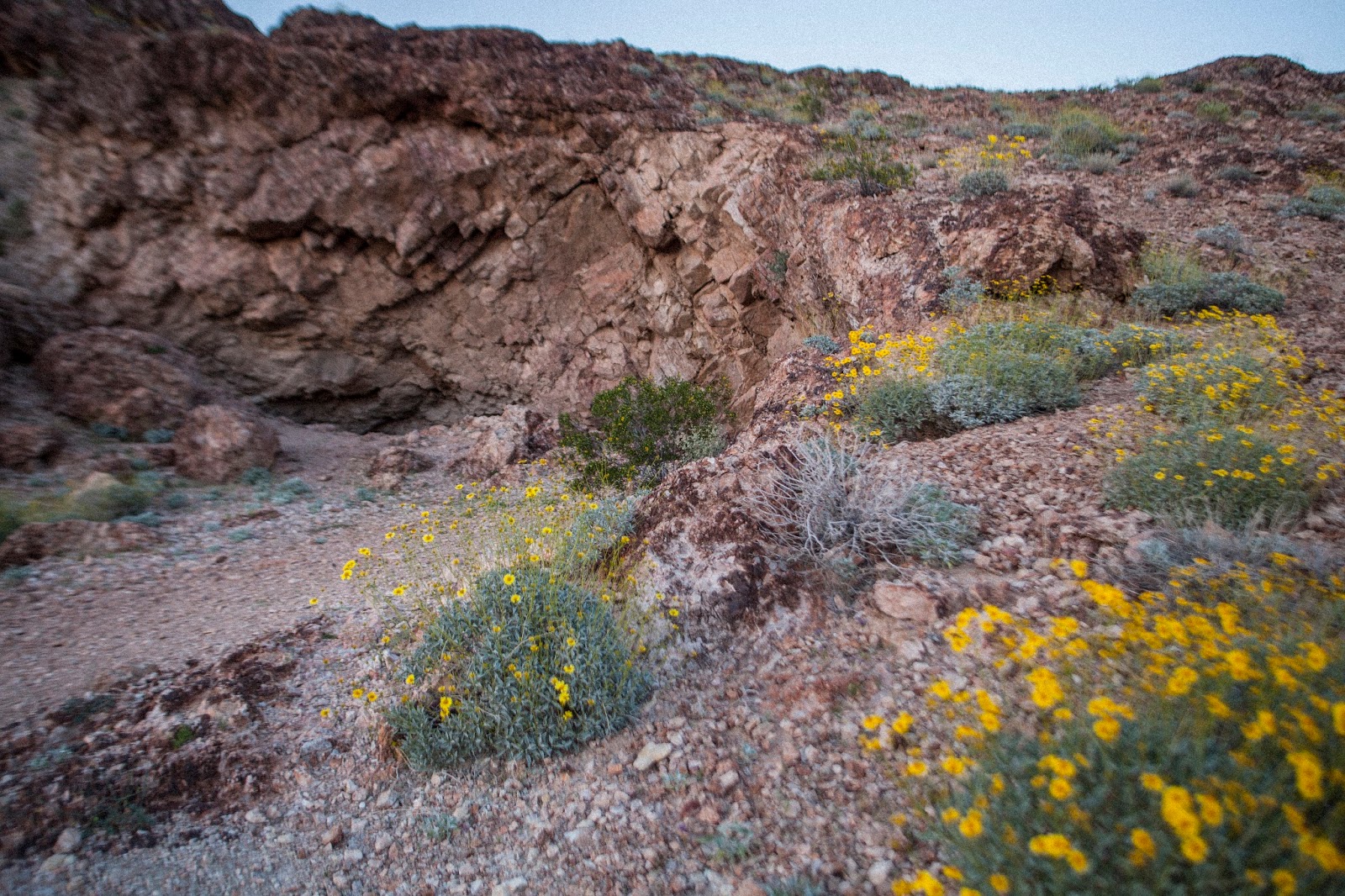 GYPSUM CAVE, NEVADA ADAM HAYDOCK