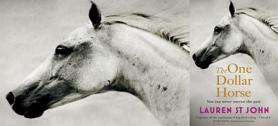 the one dollar horse lauren st john the one dollar horse lauren st john