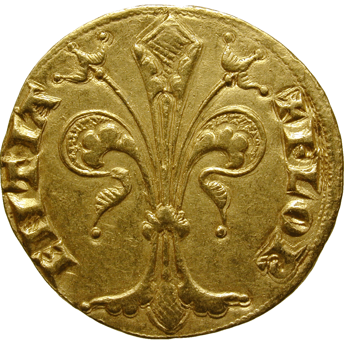 Toscana longobarda Il Giglio di Firenze nella storia