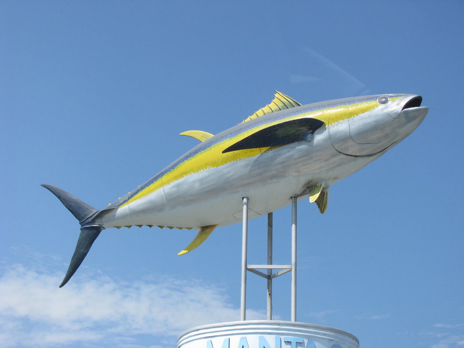 UPDATE AT THE YOST'S MANTA TUNA CAPITAL