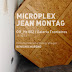 [OffHz002] Microplex / Jean Montag - Galería TrentaTres 