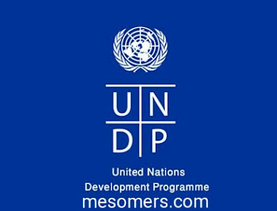 Human Development Index (HDI) UNDP