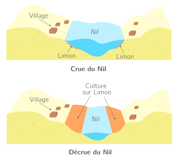 French Vocabulary Illustrated crue