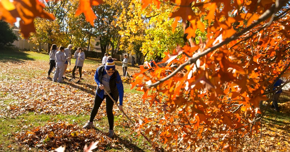 Hofstra Family Connection