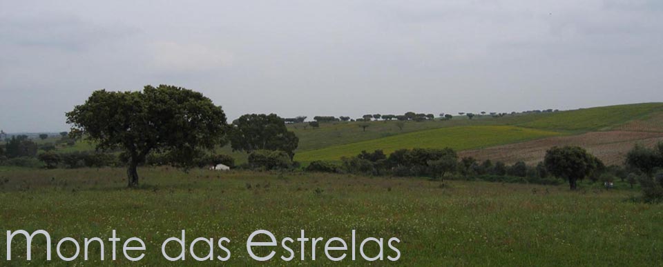 Monte das Estrelas