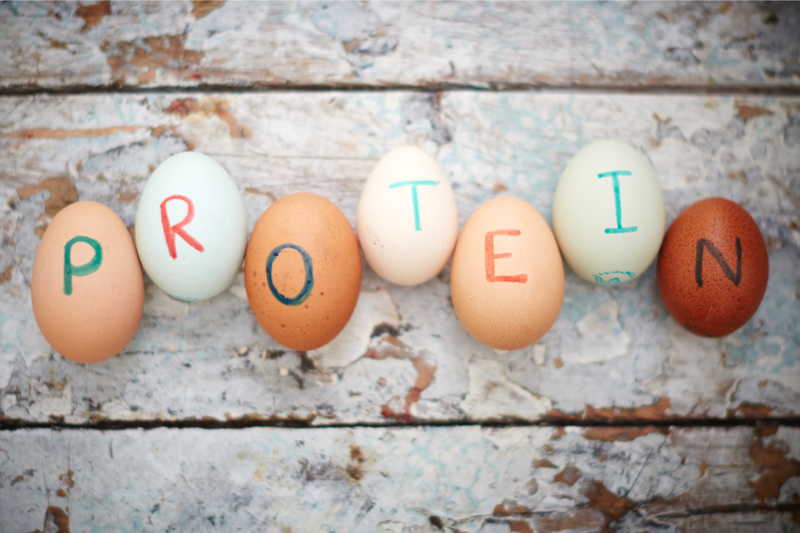 How to calculate protein My Blogs
