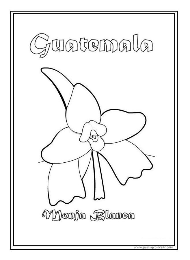 dibujos de Monja blanca Guatemala para colorear  