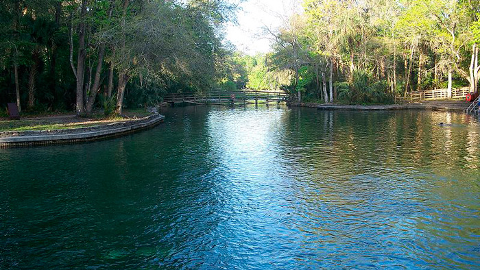 Springs da Flórida: 10+ Piscinas naturais lindas pertinho de Orlando