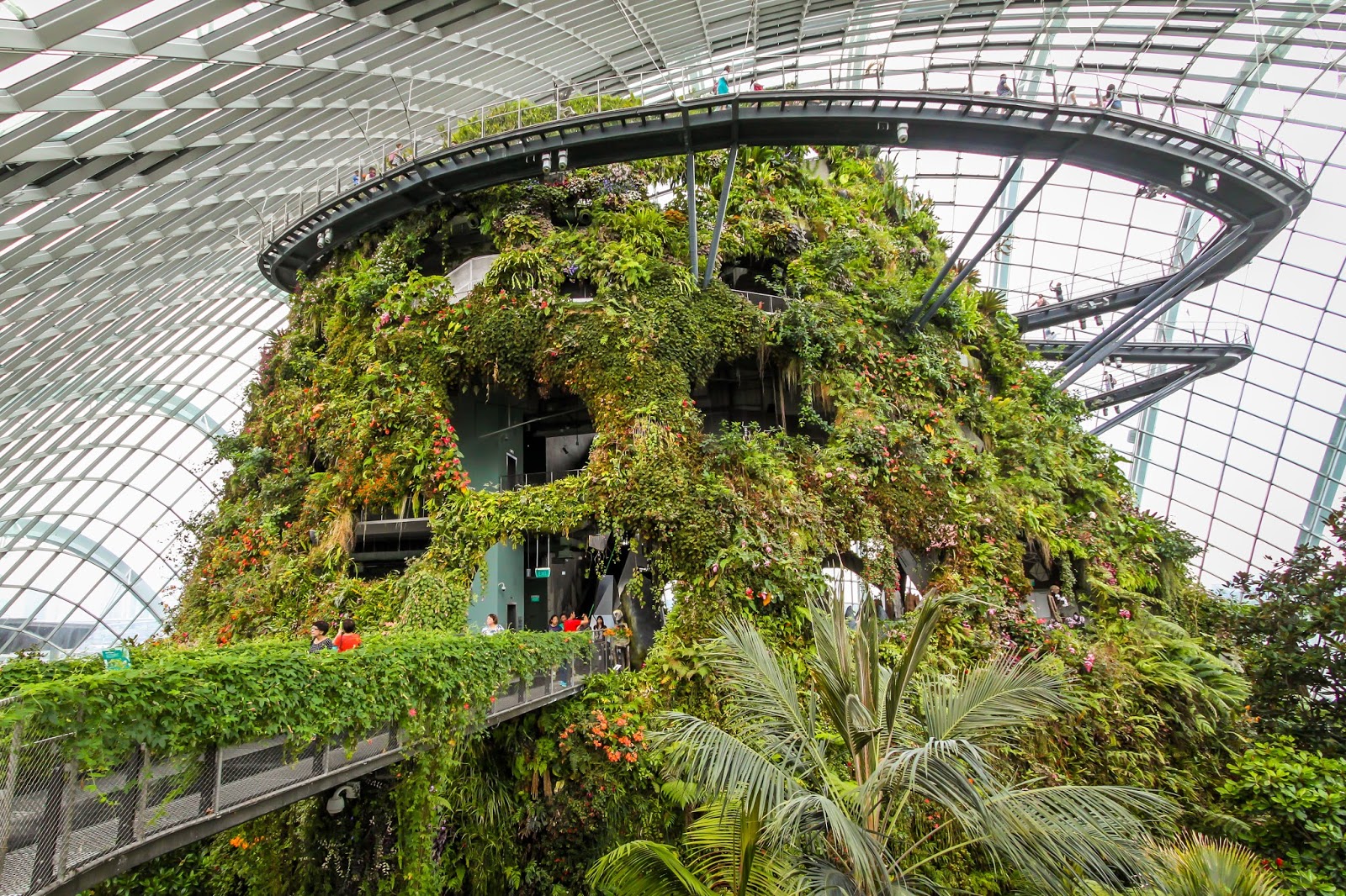 ботанический сад белфаста. оранжерея ботанический сад йошкар-ола. это происходило в оранжерее. оранжерея можга нагорная. оранжерея вднх амфитеатр.