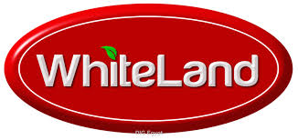 شركة وايت لاند شركة وايت لاند