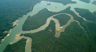bioma amazonia
